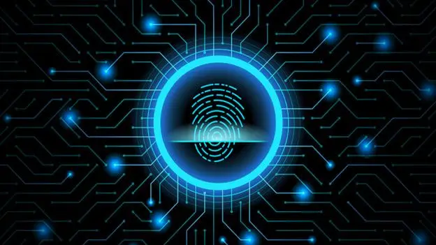 A Comprehensive Guide to IT Security in 2024